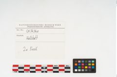 Etikett zu Stein (NHMW-PRAE-003434e)